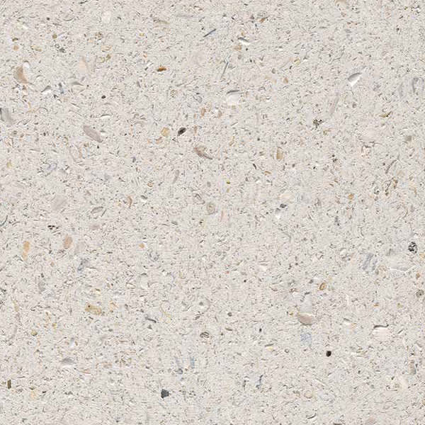 Shellock Ivory